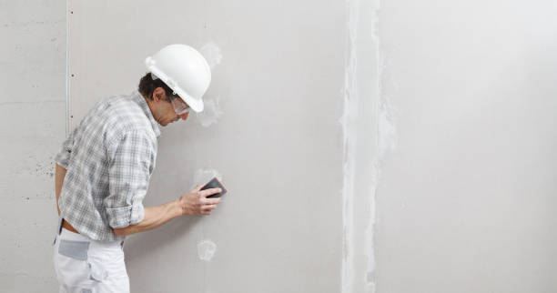 Forensic Mold Investigation in Kankakee, IL