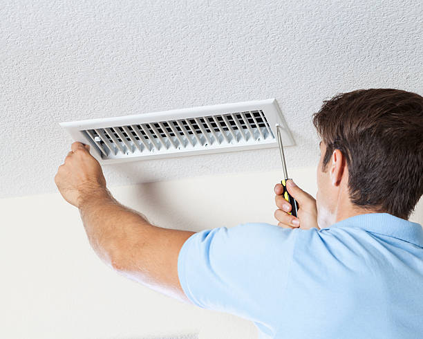 Best Mold Odor Removal Services  in Kankakee, IL