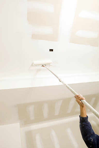 Best Mold Remediation for Rental Properties  in Kankakee, IL